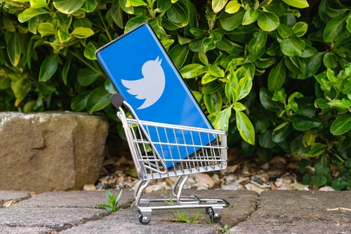 Twitter’s Survival as a Subscription Service Depends on Apple and Google