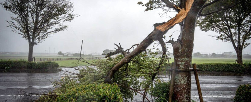 Typhoon Bebinca new alert: China braces for public safety and travel disruption before mid-autumn festival What you need to know?