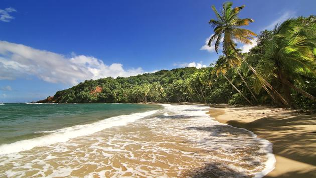 Uncovering the Hidden Beaches of the Caribbean