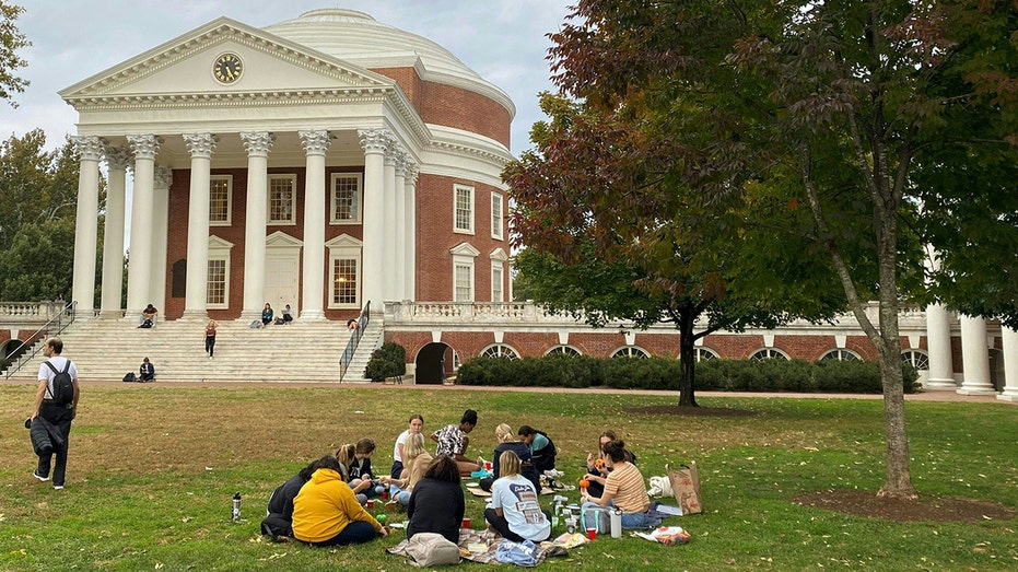 University of Virginia to remove its DEI office: 'Voted for commonsense'