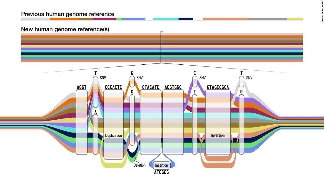 Updated human DNA map captures diversity of life
