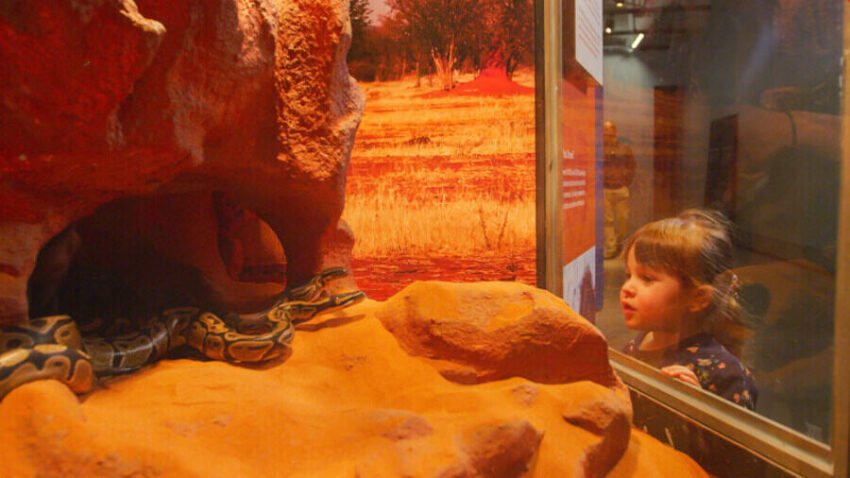 Vancouver Aquarium Debuts Survival of the Slowest Exhibit This February