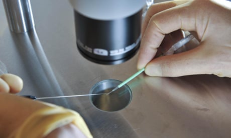 Victoria to lift IVF counselling restrictions and loosen donor conception rules