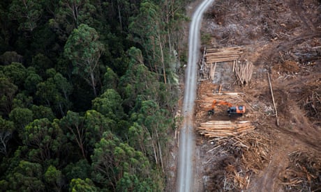 Victorian and Tasmanian governments under fire for laws that target environmental protesters