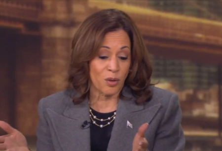 WATCH: Kamala Fumbles Softball Question During 'The View' Interview