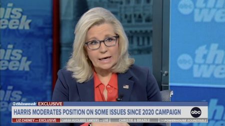 WATCH: Liz Cheney Suggests Ronald Reagan Would Be Supporting Kamala Harris In Unhinged Interview