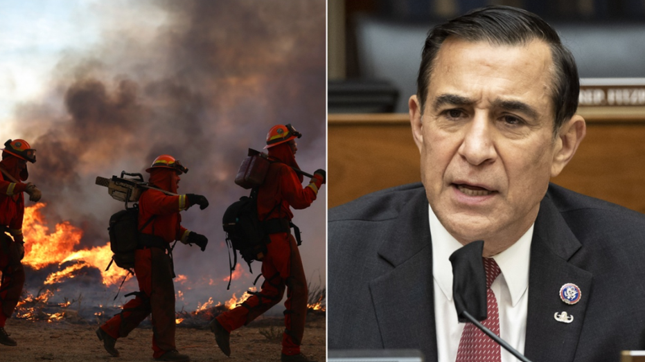 'We can't wait': Issa fights back against 'green tape' regulations impacting firefighters