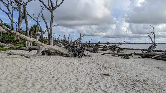 What To See and Do on Jekyll Island