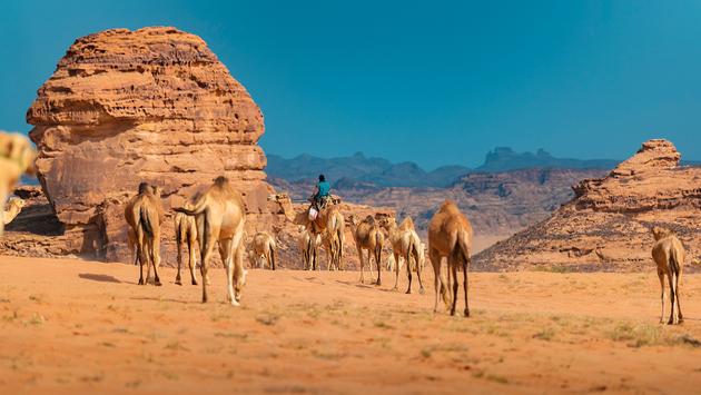 Why Saudi Arabia Is Your Next Adventure Travel Destination