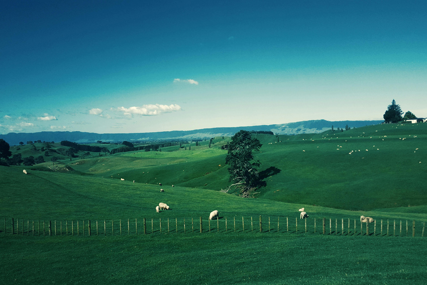 Will New Zealandâ€™s New Policy For Migrants Surge Tourism? A Guide to Visiting the Land of the Long White Cloud