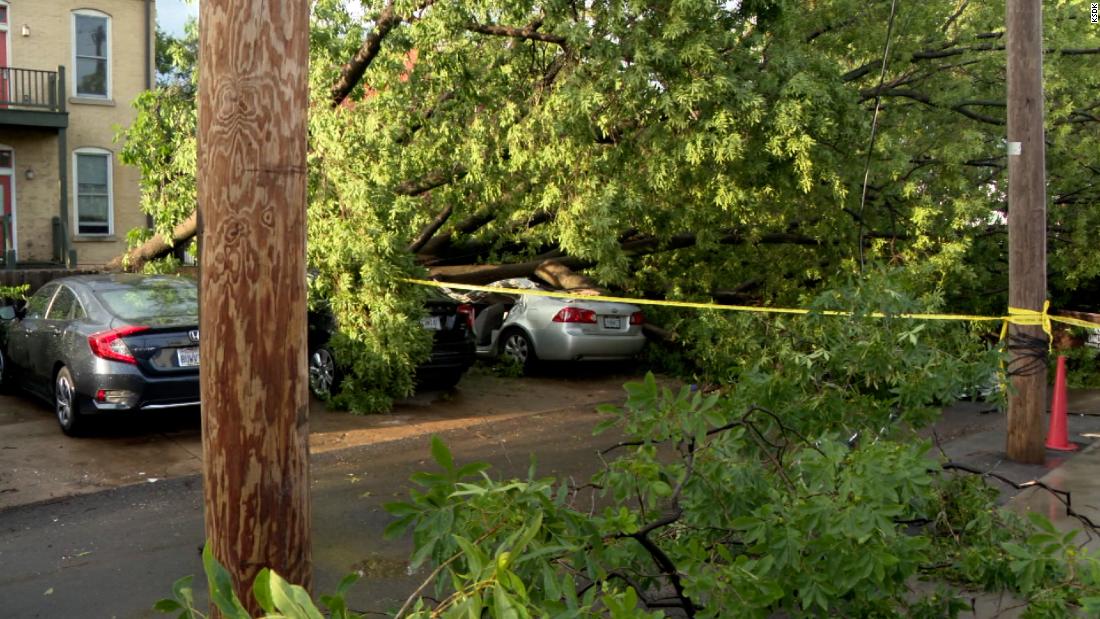 Woman dies after tree falls on her car during Saturday's severe weather in St. Louis