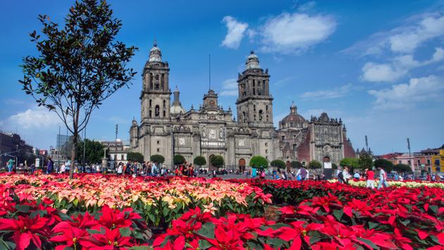 World Travel and Tourism Council Forecasts Substantial Increase in International Bookings to Mexico